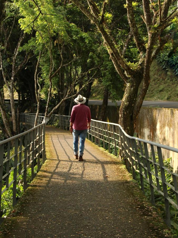 Ecohotel Otrolado Lodge Los Andes  外观 照片