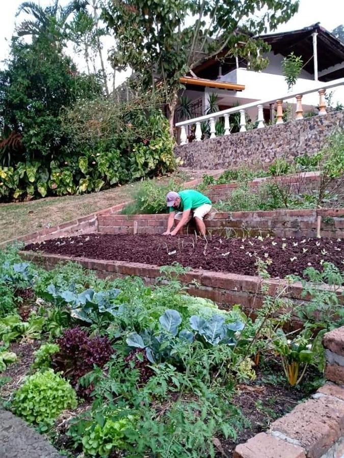 Ecohotel Otrolado Lodge Los Andes  外观 照片