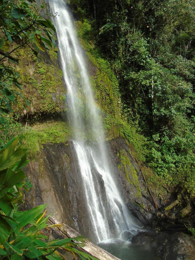 Ecohotel Otrolado Lodge Los Andes  外观 照片