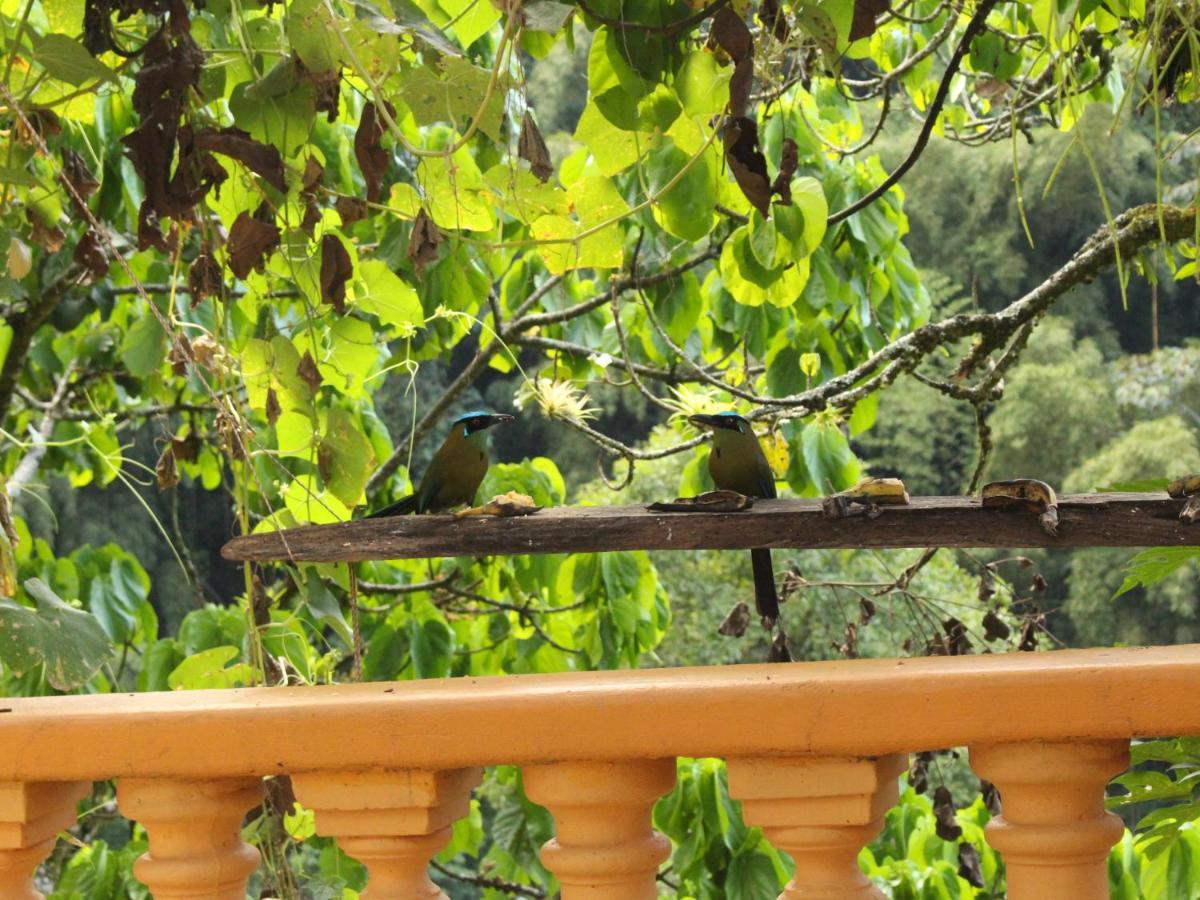 Ecohotel Otrolado Lodge Los Andes  外观 照片