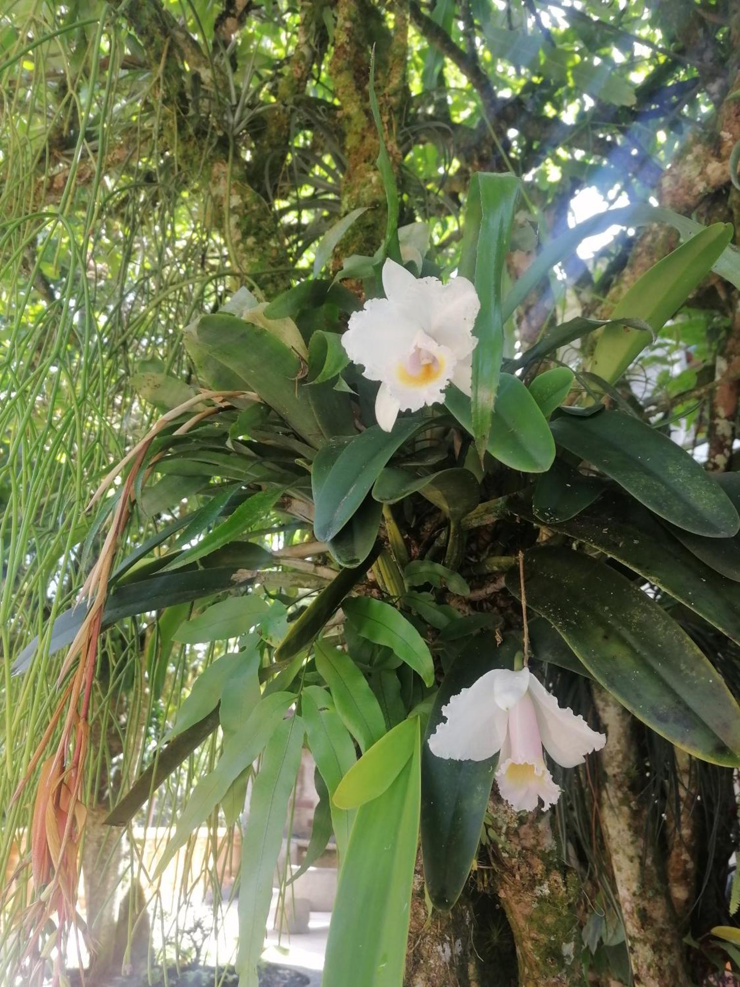Ecohotel Otrolado Lodge Los Andes  外观 照片